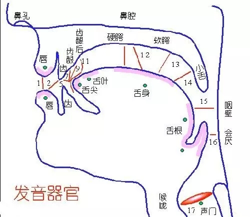 雨女无瓜，不标准的发音可能与牙缝有关哦